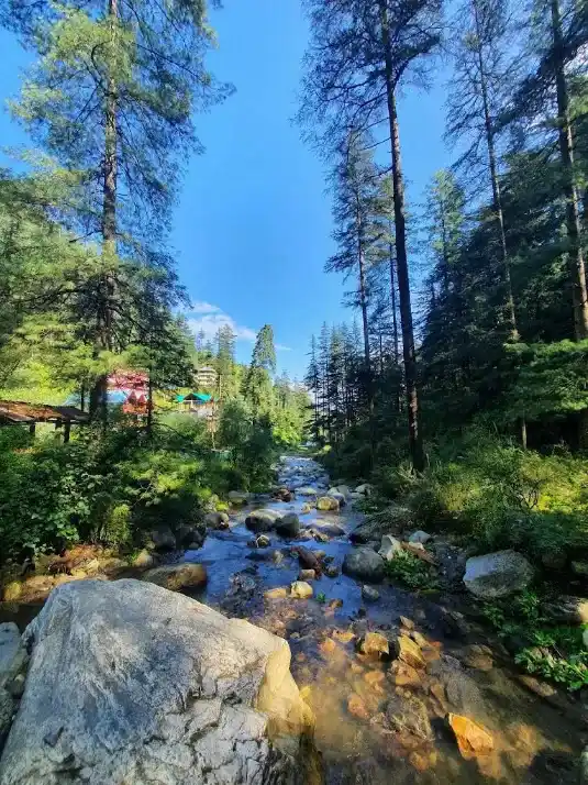 Jibhi Homestay – Why a Riverside Stay in the Hills Beats a Hotel Every Time